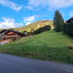 L’été à Châtel : des vacances divertissantes avec le charme de la montagne en plus