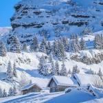 Été comme hiver à Châtel, tout est réuni pour un séjour réussi