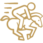 Équitation